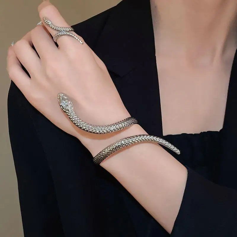 Offerta Speciale: Set di 2 Bracciali e Anelli a Forma di Serpente Punk, Bracciali Apribili a Spirale e Anelli per Dita, Gioielli per Mani Unisex