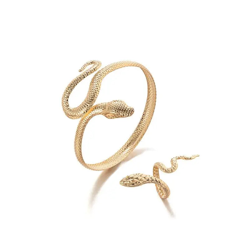 Offerta Speciale: Set di 2 Bracciali e Anelli a Forma di Serpente Punk, Bracciali Apribili a Spirale e Anelli per Dita, Gioielli per Mani Unisex